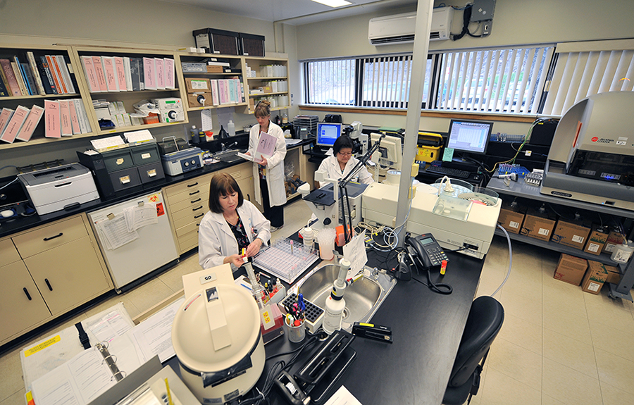 laboratory staff in the SMH laboratory working