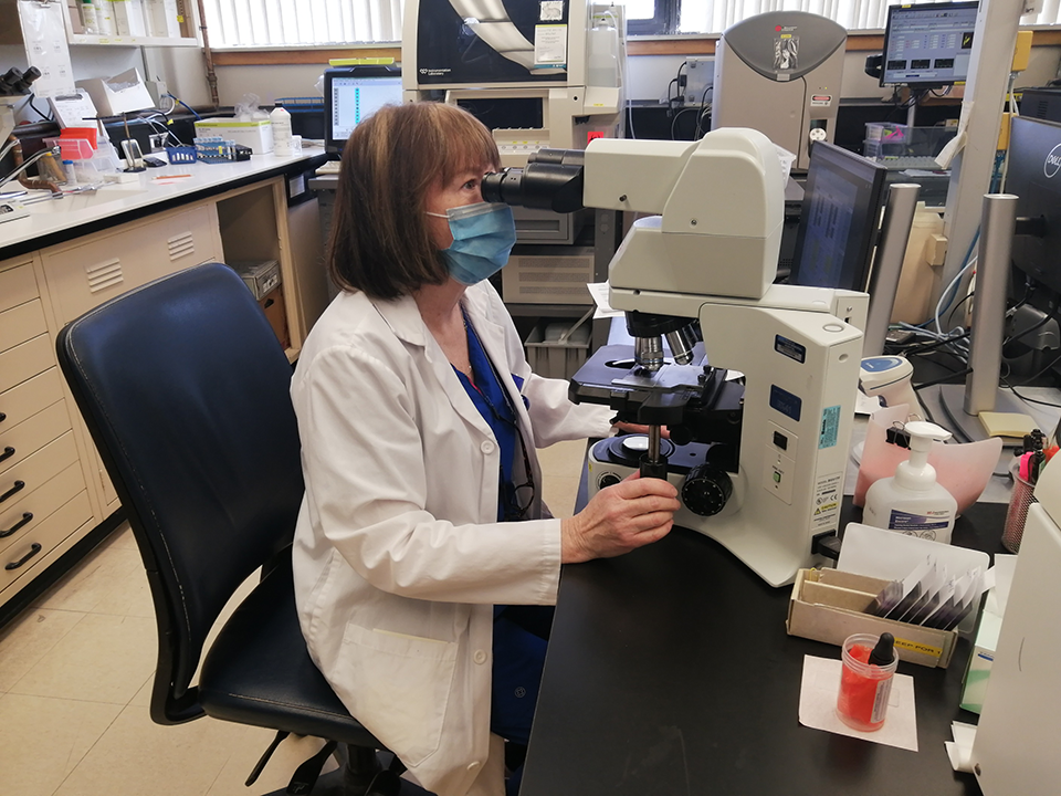 laboratory staff using a microscope in the SMH lab department